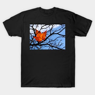 Fallen Red Maple Leaf T-Shirt